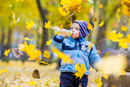 一个小男孩玩树叶在秋天的树林