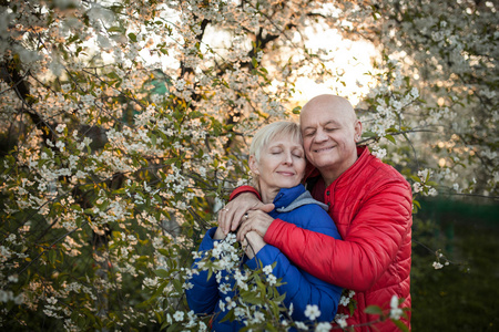 快乐老人夫妇拥抱和微笑附近树上开花