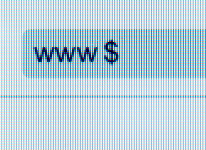 以美元符号在计算机上的网络浏览器的地址栏