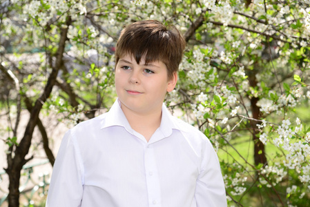 十几岁男孩开花樱桃的背景上的肖像