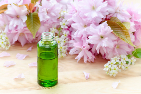 绿色瓶精油，天然的化妆品和樱桃花上木