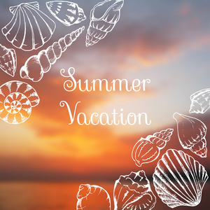 海贝壳线艺术夏季度假模糊照片背景