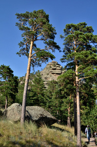 在山林，国家国家自然公园Burabai，K