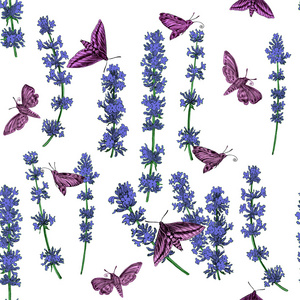 无缝花纹与淡紫色和白色的蝴蝶