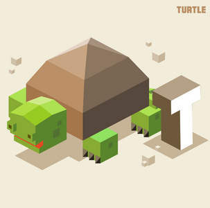 T 为龟，动物字母表集合的