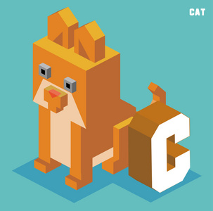 C 为猫，动物字母表集合的
