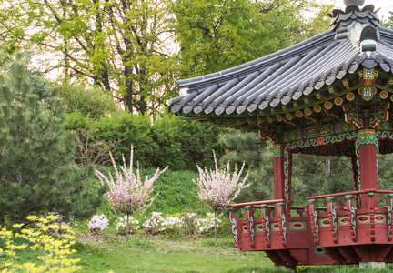 传统的韩国花园图片