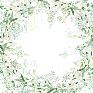 方形框架，轮廓Galanthus和草药在白色。 图案图案
