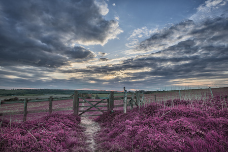 美丽的英国乡村景观在日落无线域上