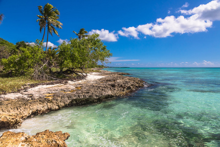 野生的珊瑚热带海滩，两岛加勒比海