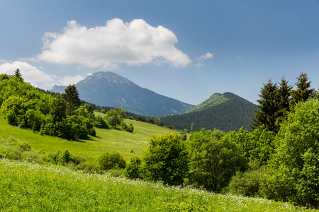 在 Liptov 地区，夏季 2015年斯洛伐克的性质