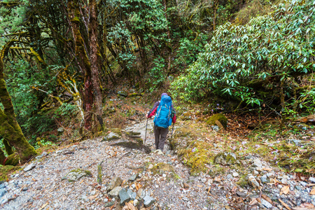 在喜马拉雅山丛林徒步旅行者图片