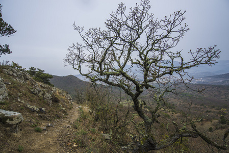 神秘朦胧的山景岩峰