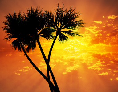 三个棕榈树附近海域上空映出七彩的晚霞