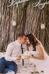 美丽的新婚夫妇在野餐会上拿蛋糕在春天公园中的树背景上的特写镜头