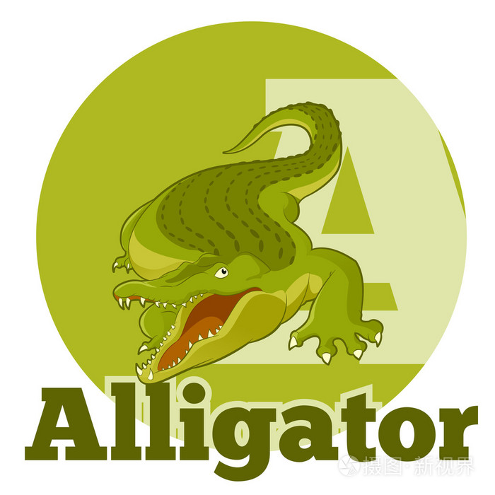 abc 卡通 alligator2