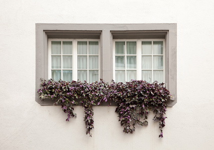 在传统的房子，在瑞士的美丽 windows