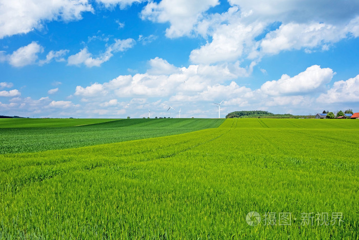 绿色的田野农田蓝蓝的天空云彩