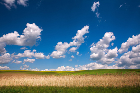 乡村景观分析领域在蓝蓝的天空下