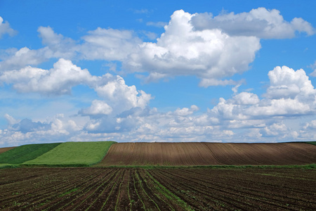 农业领域与好蓝蓝的天空图片