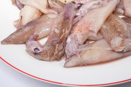 枪乌贼 鱿鱼 食物 海鲜 美食家 软体动物 自然 烹调 咕噜