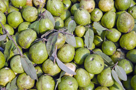 新鲜番石榴异国水果集团在亚洲街道市场，印度