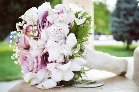 庆祝 浪漫的 花瓣 优雅 自然 美丽的 颜色 聚会 订婚