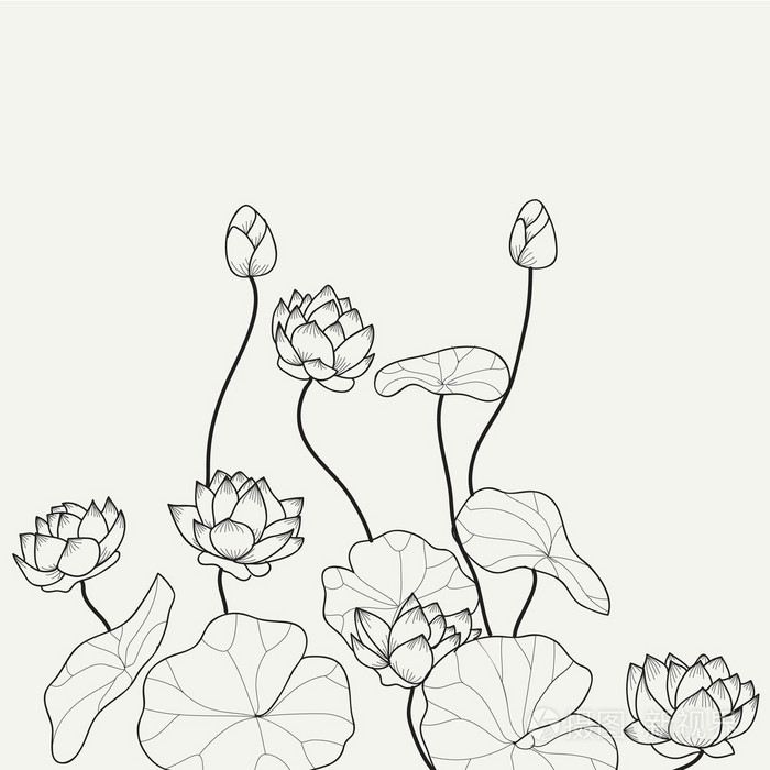 手画的荷花池塘图