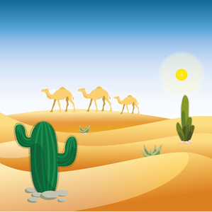 沙漠骆驼与仙人掌图片
