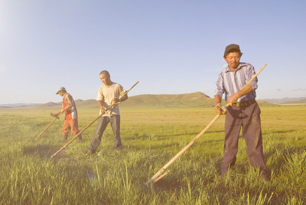 蒙古农民工作领域图片