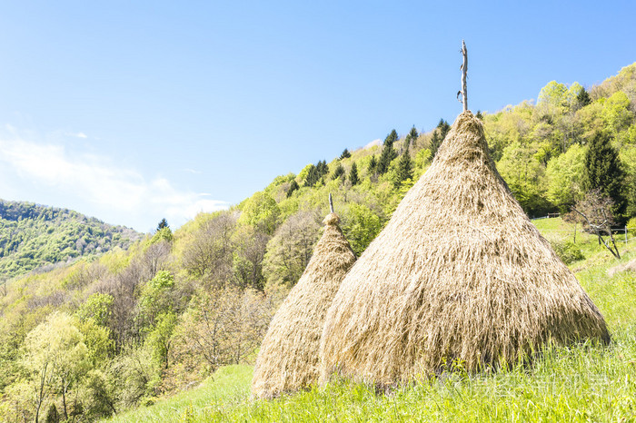 乡村景观与在意大利阿尔卑斯山的草垛