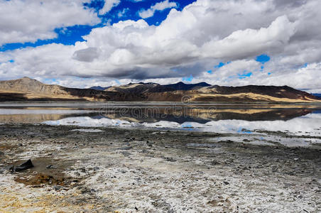 拉达克 自然 生态学 西藏 克什米尔 范围 季节 高地 高的