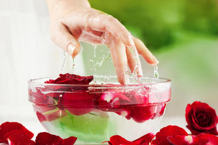 女性手，水滴和玫瑰花瓣