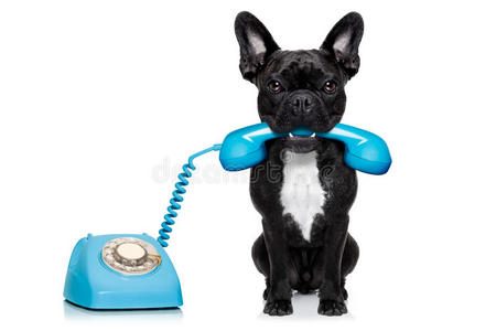狗电话