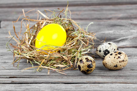 巢穴中的复活节彩蛋和鹌鹑蛋