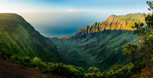 巴利语 美丽的 峡谷 卡拉劳 悬崖 气味 夏威夷语 山脊