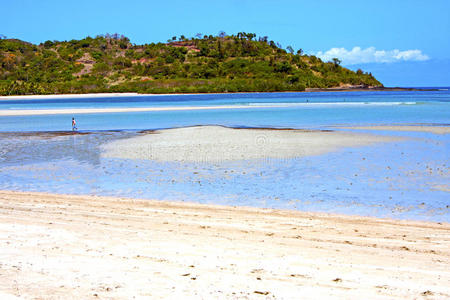 美丽的安第斯海滩海藻在印度