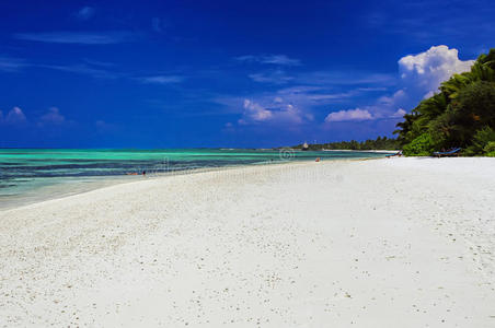 美女 海景 泻湖 海洋 夏天 海滩 放松 椰子 马尔代夫