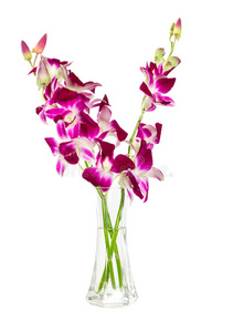 玻璃花瓶里的一束紫色兰花