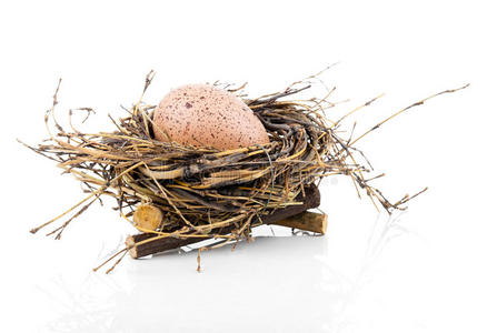 鸟巢里的复活节彩蛋