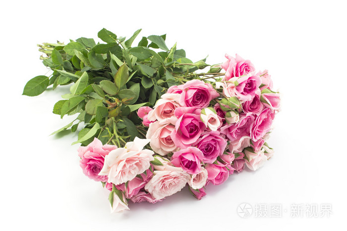孤立白底粉红玫瑰花束