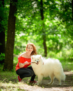 萨摩耶德犬品种在公园里的女人图片