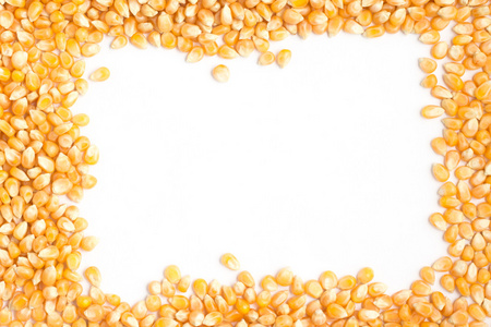 原料玉米谷物框架在白色背景图片
