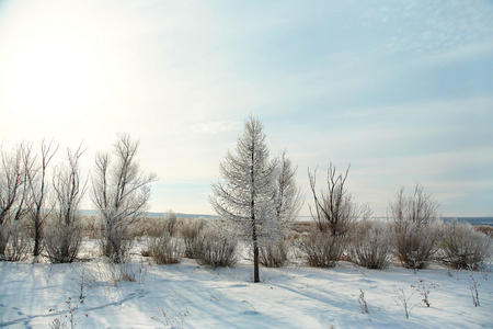 景区冬季风景图片