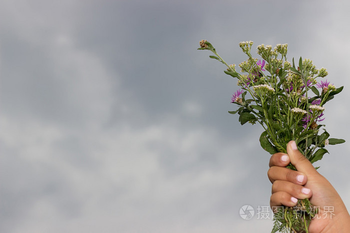 在夏季多云的天空背景下, 孩子们的手拿着一束枯萎的花.