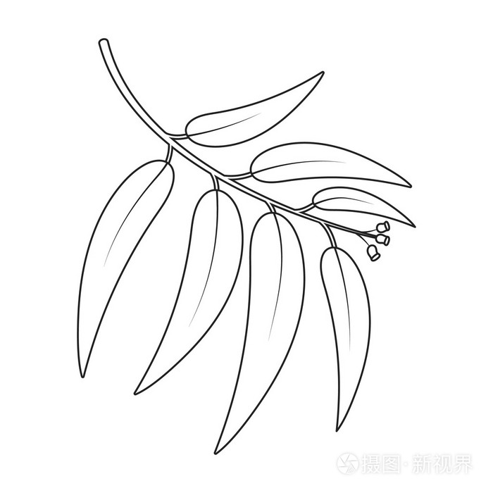 web 的线条样式桉树矢量图标