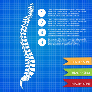 军医脊柱人类蓝图图片
