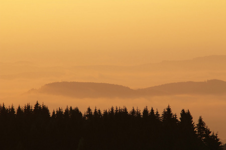 山林在清晨的薄雾中图片