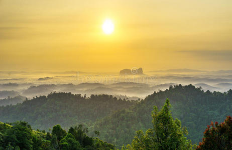 旅游业 风景 全景 旅鼠 新的 小山 松井 村庄 马来西亚