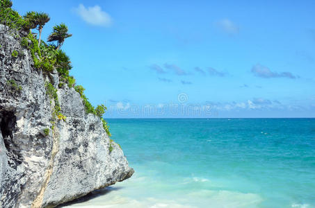 风景 梦想 阳光 棕榈 海岸 岩石 赏金 加勒比 自然 海洋